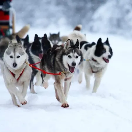 Appartamento Chaleureux Aux Pieds Des Pistes Chamrousse