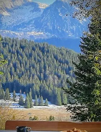 Chaleureux Aux Pieds Des Pistes